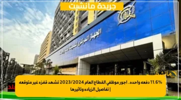 11.6 دفعة واحدة.. أجور موظفي القطاع العام 20232024 تشهد قفزة غير متوقعة تفاصيل الزيادة وتأثيرها 1